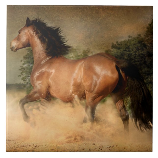 baldosa de caballo salvaje (Frente)