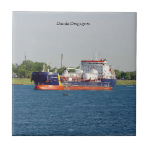 Baldosa de Damia Desgagnes