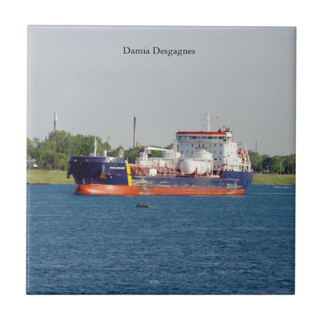 Baldosa de Damia Desgagnes (Frente)