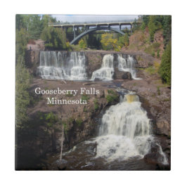 Baldosa de Gooseberry Falls