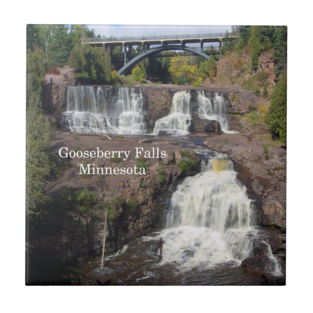 Baldosa de Gooseberry Falls (Frente)