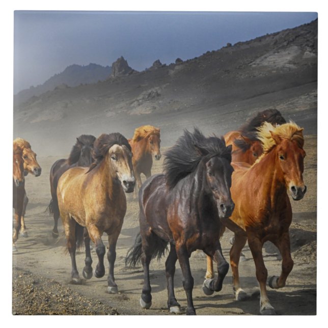 baldosa de sendero de caballo (Frente)