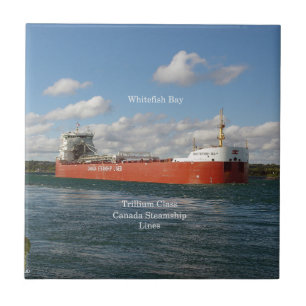 Baldosa de Whitefish Bay