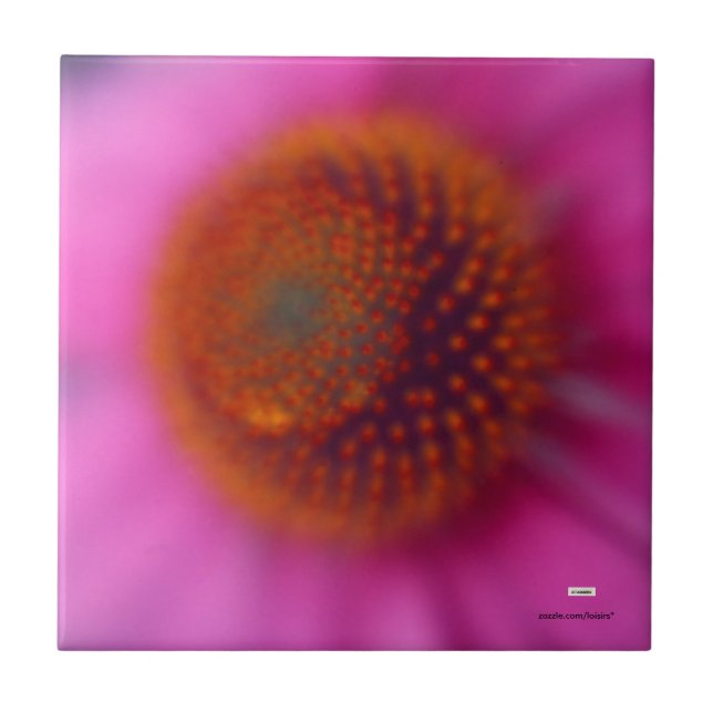 Baldosa florida de Echinacea (Frente)