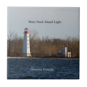 Baldosa ligera de la isla principal del pato