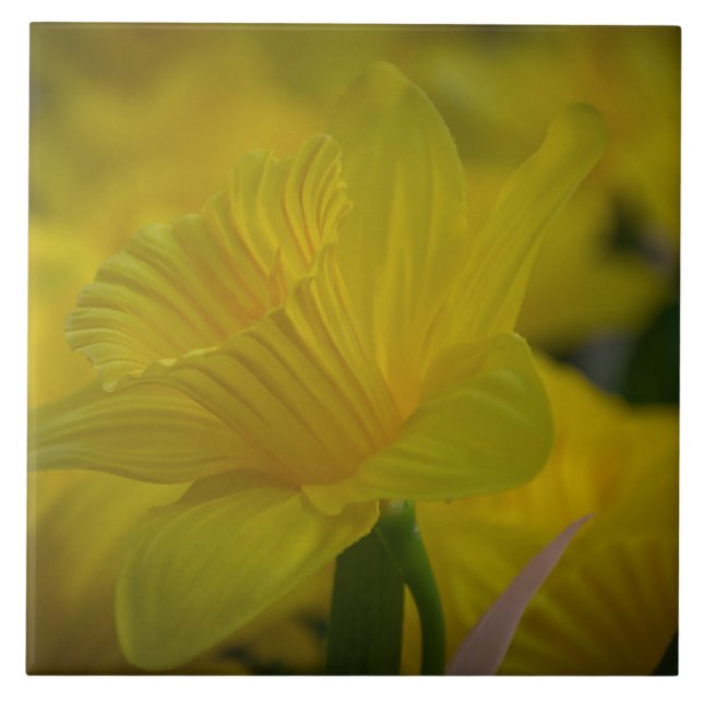 Baldosas cerámicas de color amarillo (Frente)