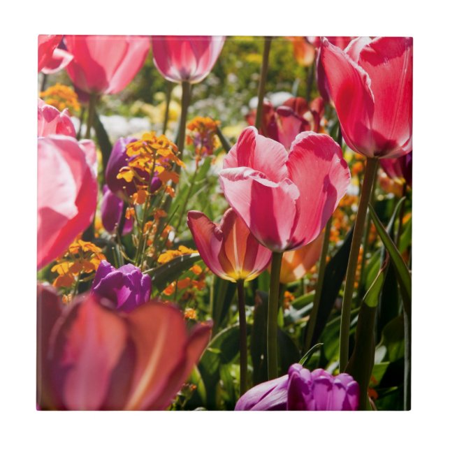 Baldosas cerámicas de tulipanes florales (Frente)