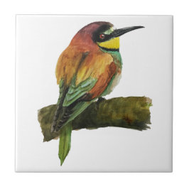 Baldosas cerámicas europeas para el consumo de abe