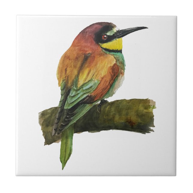 Baldosas cerámicas europeas para el consumo de abe (Frente)