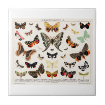 BALDOSAS CERAMICAS : LITHOGRAFÍA DE MADERA ANTIGUA