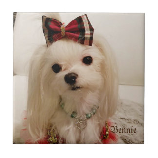 Baldosas cerámicas maltesas