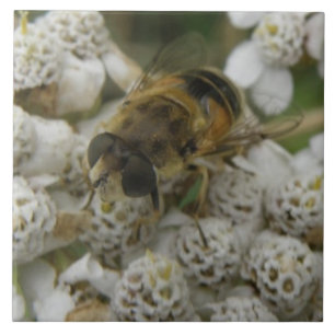 Baldosas de abeja y flores