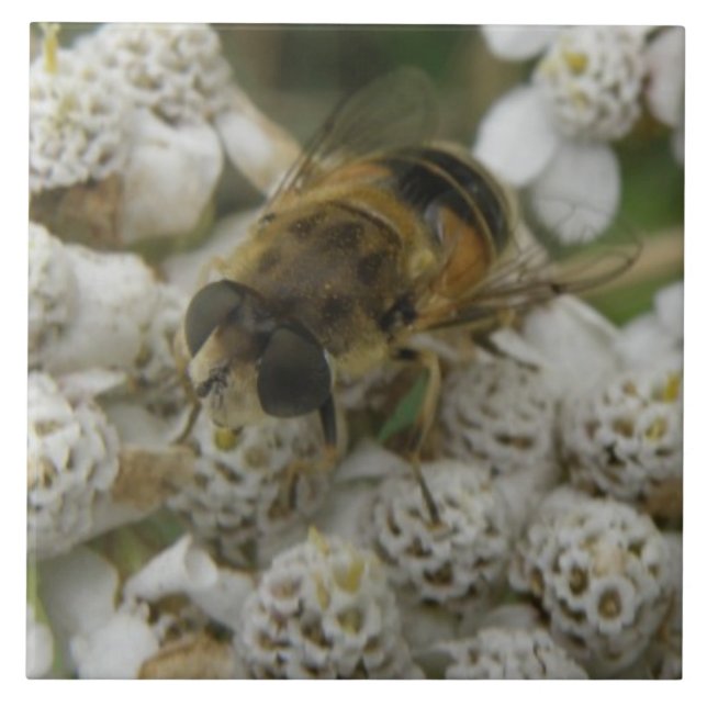 Baldosas de abeja y flores (Frente)