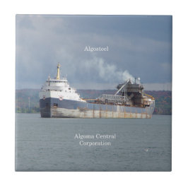 Baldosas de algoacero