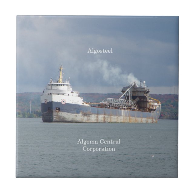 Baldosas de algoacero (Frente)