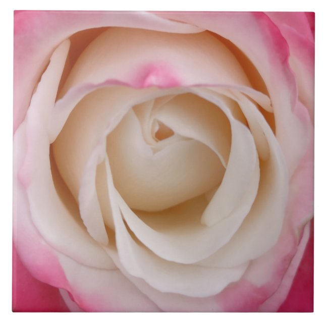 Baldosas de cerámica rosa (Frente)