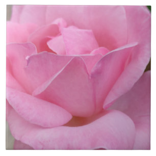 Baldosas de cerámica rosa