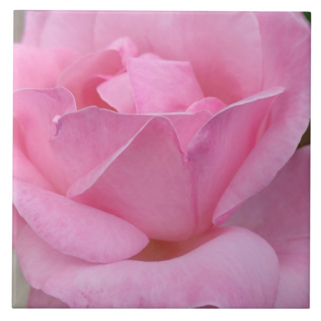 Baldosas de cerámica rosa (Frente)