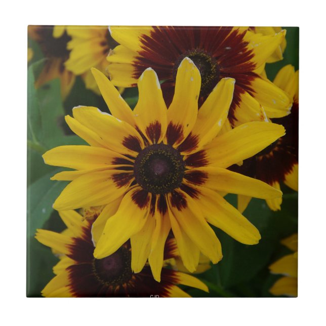 Baldosas de flores amarillas marrones (Frente)