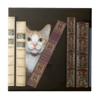 Baldosas de gatos y libros