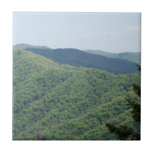 Baldosas de soporte para Smoky Mountains 1