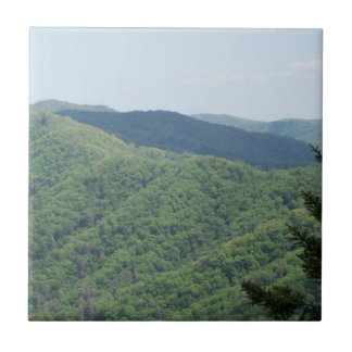 Baldosas de soporte para Smoky Mountains 1