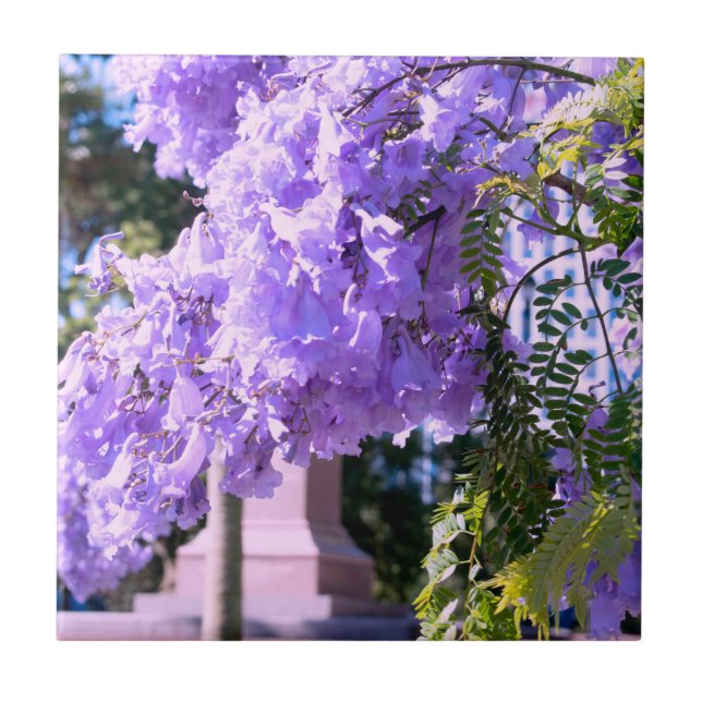 Baldosas decorativas del árbol de princesas morada (Frente)