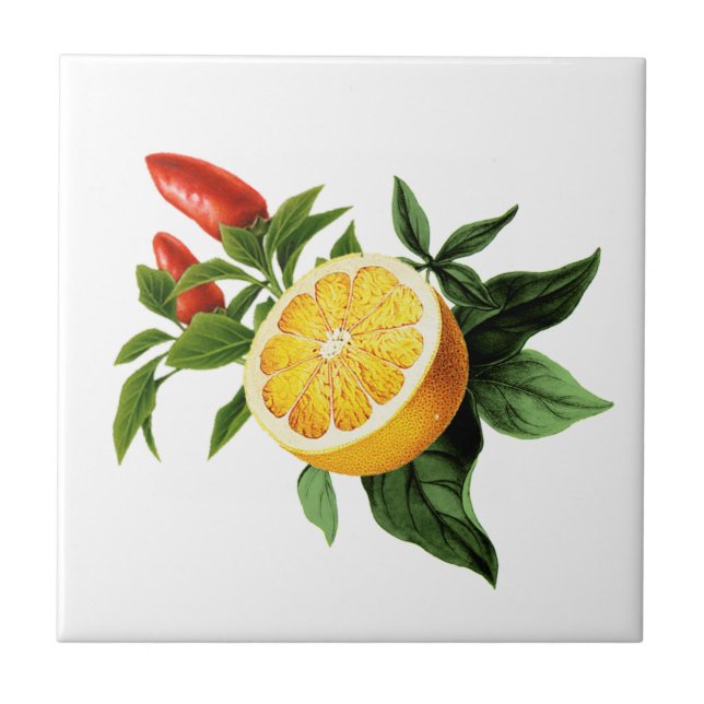 Baldosas mediterráneas, mayólica, siciliana     (Frente)