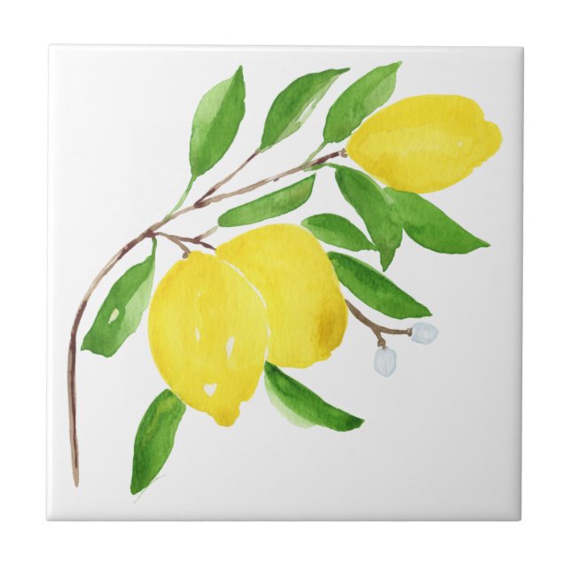 Baldosas mediterráneas, mayólica, siciliana,limón (Frente)