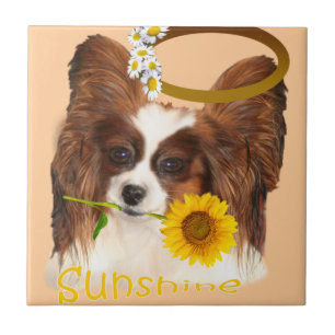Baldosas Papillon Sunshine