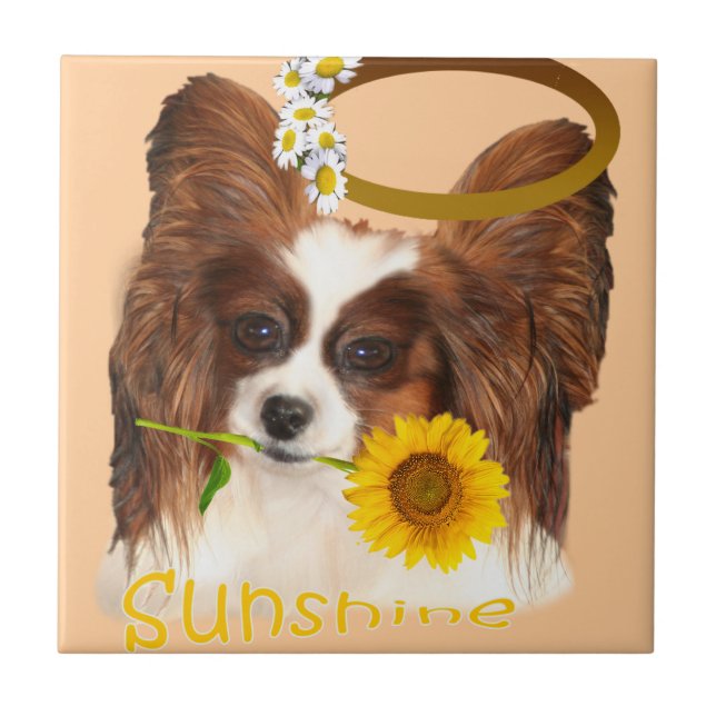 Baldosas Papillon Sunshine (Frente)