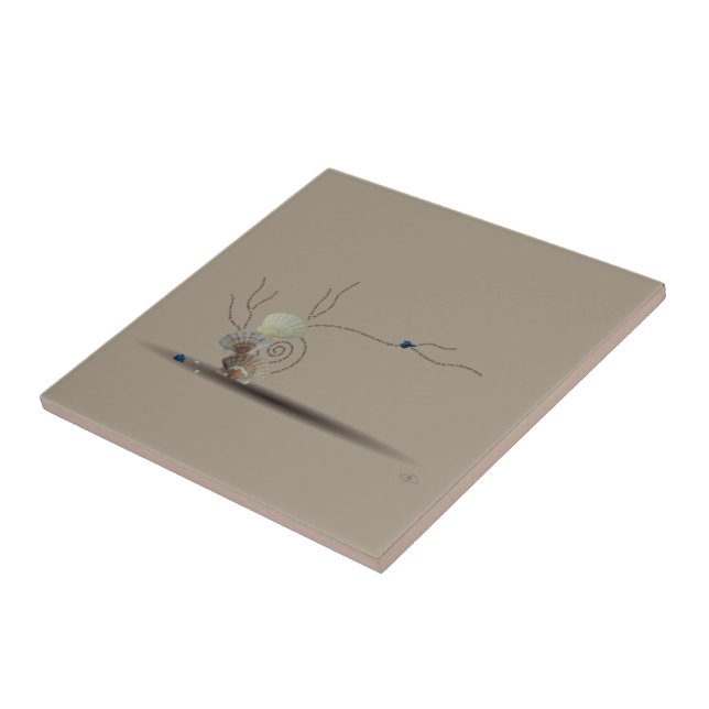 Baldosas rosadas de concha beige en el cuarto de b (Lado)