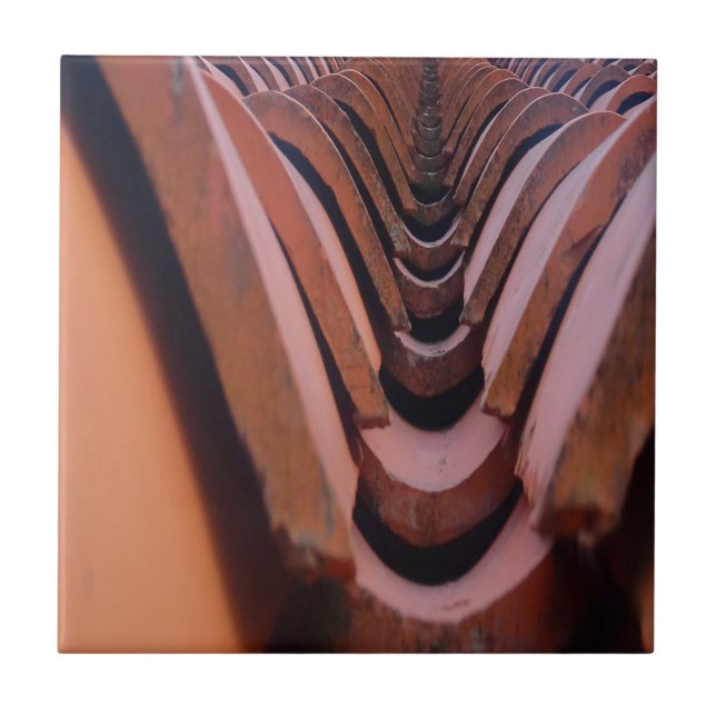 Baldosas rústicas con perspectiva única (Frente)