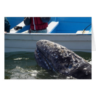 Ballena