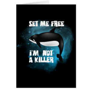 Ballena asesina - Orca