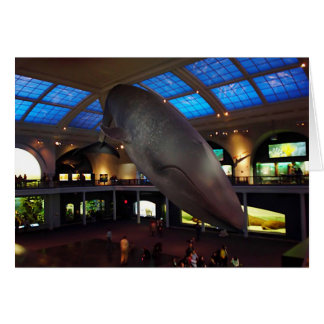 Ballena azul grande
