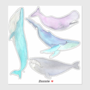 Ballena Ballena... Pegatinas de ballenas