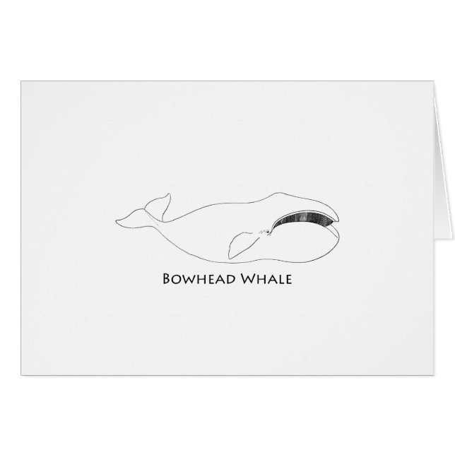 Ballena de Bowhead (línea ilustracion del arte) (Anverso (Horizontal))