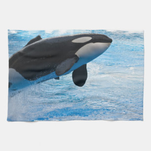 Ballena de una toalla de cocina del tiempo