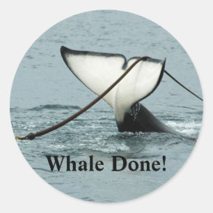 ¡Ballena hecha! Pegatina