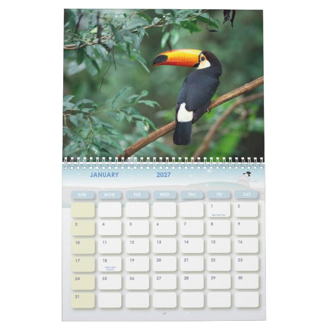 Ballena jorobada, calendario 20010 (Jan 2027)