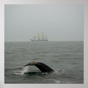 Ballena jorobada y barco alto 2 impresión