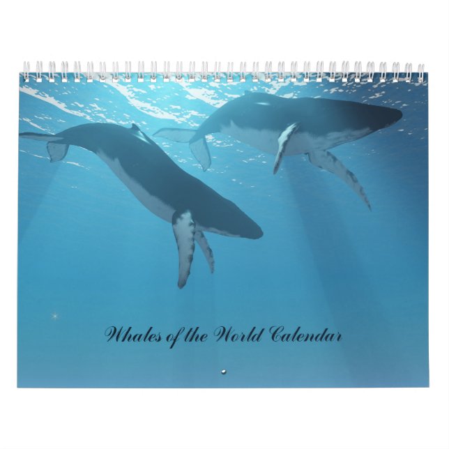Ballenas del calendario mundial (Tapa)