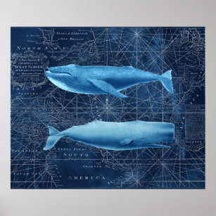 Ballenas jorobadas y arte náutico de ballenas espe