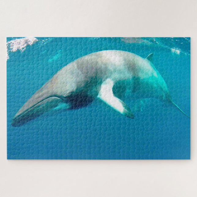 Ballenas Minke de Jigsaw. Rompecabezas (Horizontal)