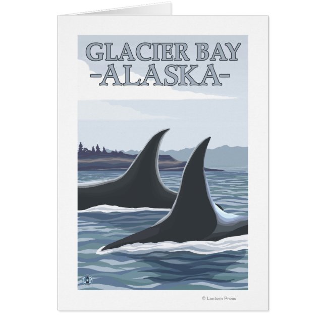 Ballenas Orca #1 - Bahía Glaciar, Alaska (Frente)