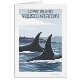 Ballenas Orca #1 - López, Washington