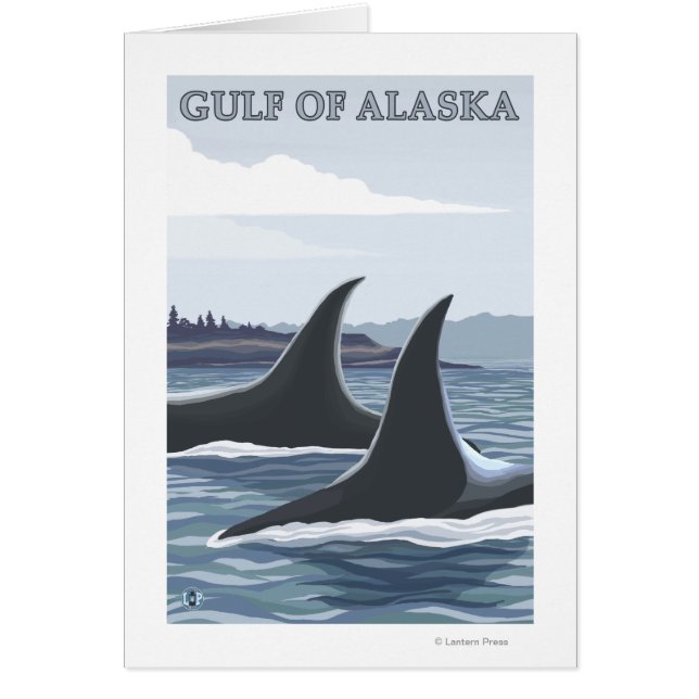 Ballenas orcas #1 - Golfo de Alaska (Frente)