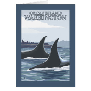 Ballenas orcas #1 - Isla Orcas, Washington