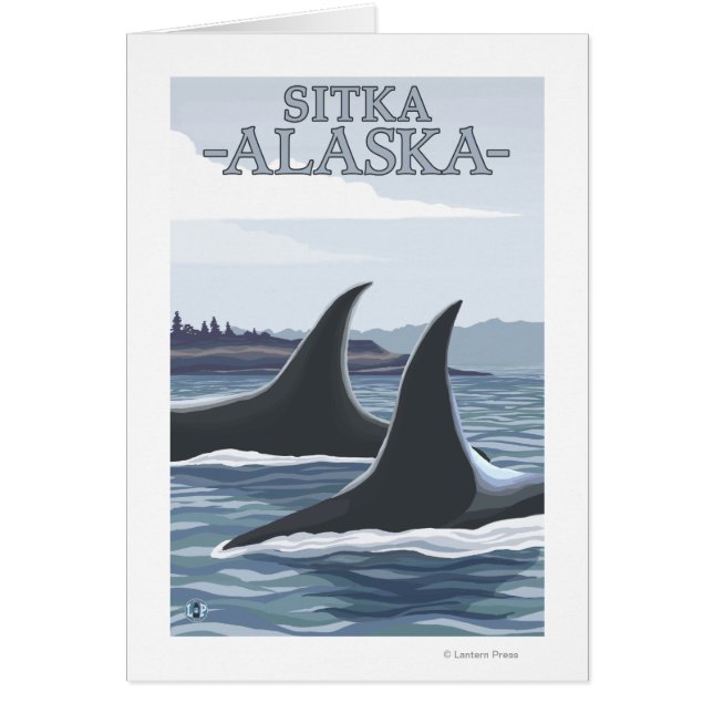 Ballenas orcas #1 - Sitka, Alaska (Frente)